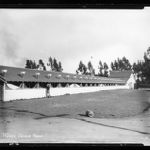 Webb's Cackle Farm