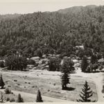 Boulder Creek