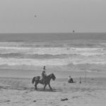 Ocean Beach