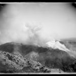 Forest fire