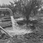 Irrigation: Untitled