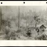 Lumber Mill